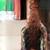 Ritratto di Davide L., 39 anni, Architetto.